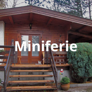 Miniferie i Harzen