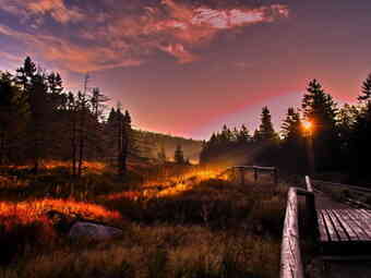 Harzen ved solnedgang