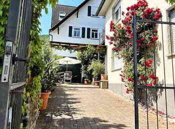 Vingaard ved Mosel, Tyskland