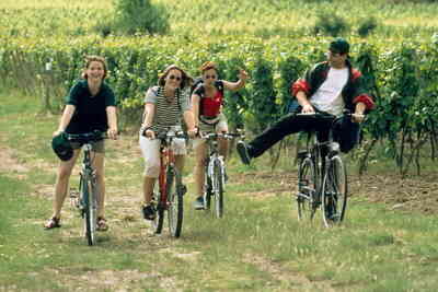 Cykeltur i vinmarken i Pfalz Cykeltur i vinmarken i Pfalz
