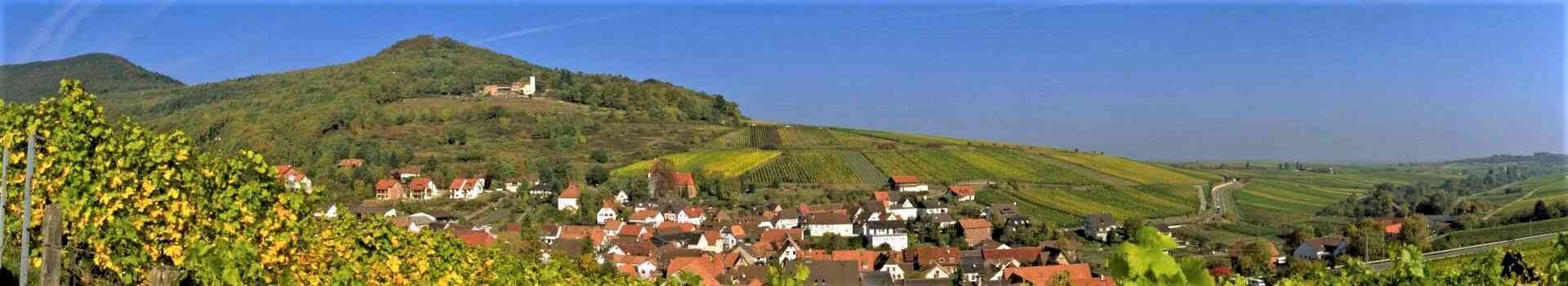 Ferie i Pfalz