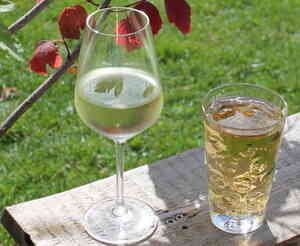 Vin fra Pfalz i Tyskland