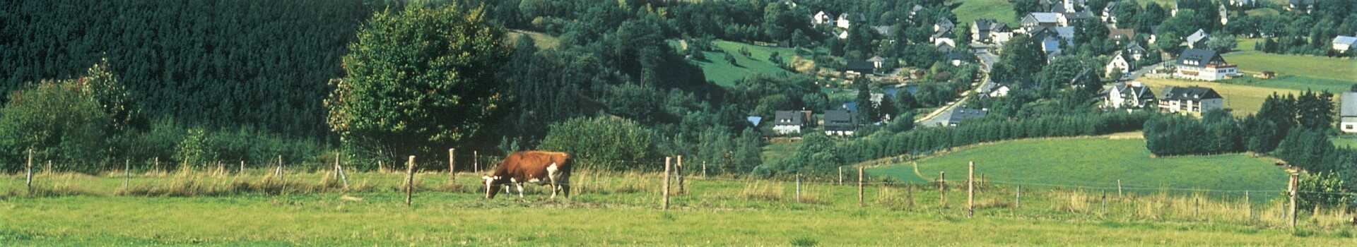 Sauerland