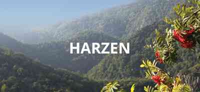 ✓Ferie i Harzen